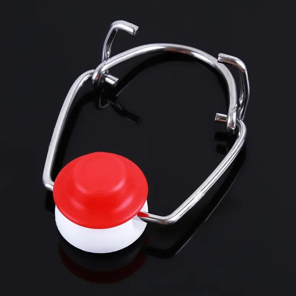 8Pcs New Beer Flip Top Bottles - Wine Beers ulasan dan harga